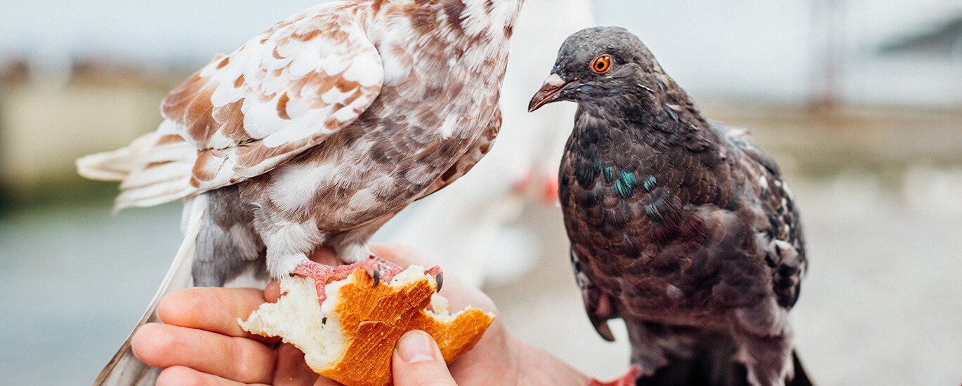 Eaque ipsa quae ab illo inventore  et velit esse quam veritatis