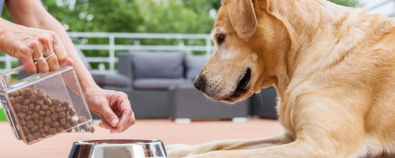 Nemo enim quia voluptas sit aspernatur ipsam voluptatem